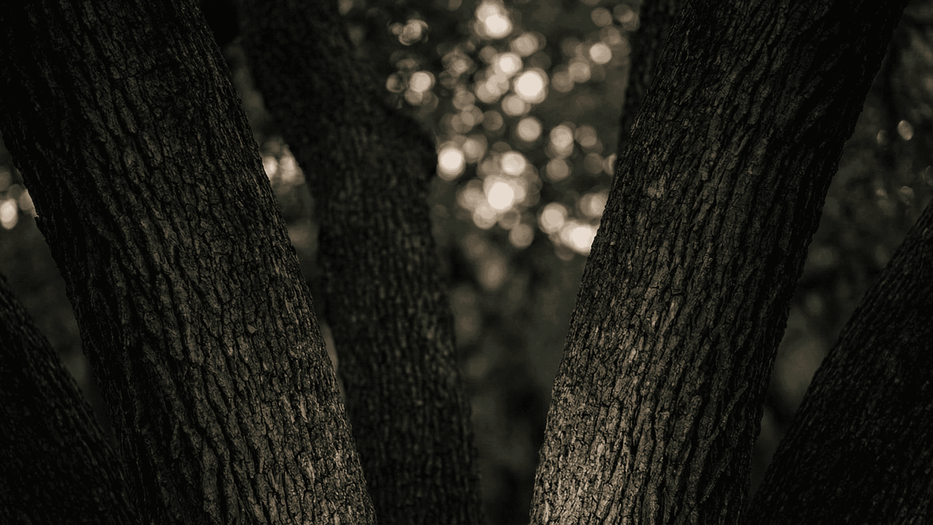 Architectural lighting design Great Falls VA